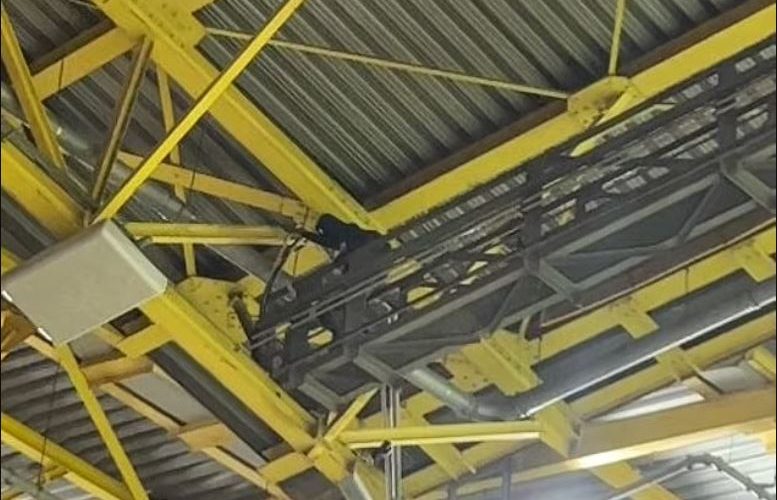 Policia e ndjek një burrë pas ndeshjes Gjermani-Danimarkë, u ngjit në trarët e çatisë